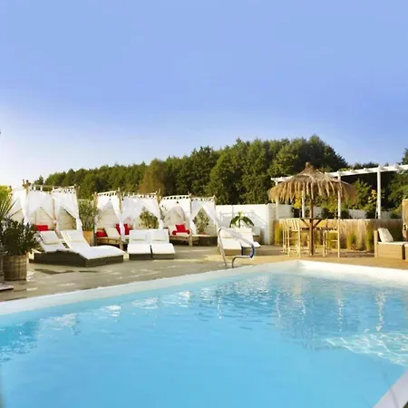 With Terrace, Garden, And Pool